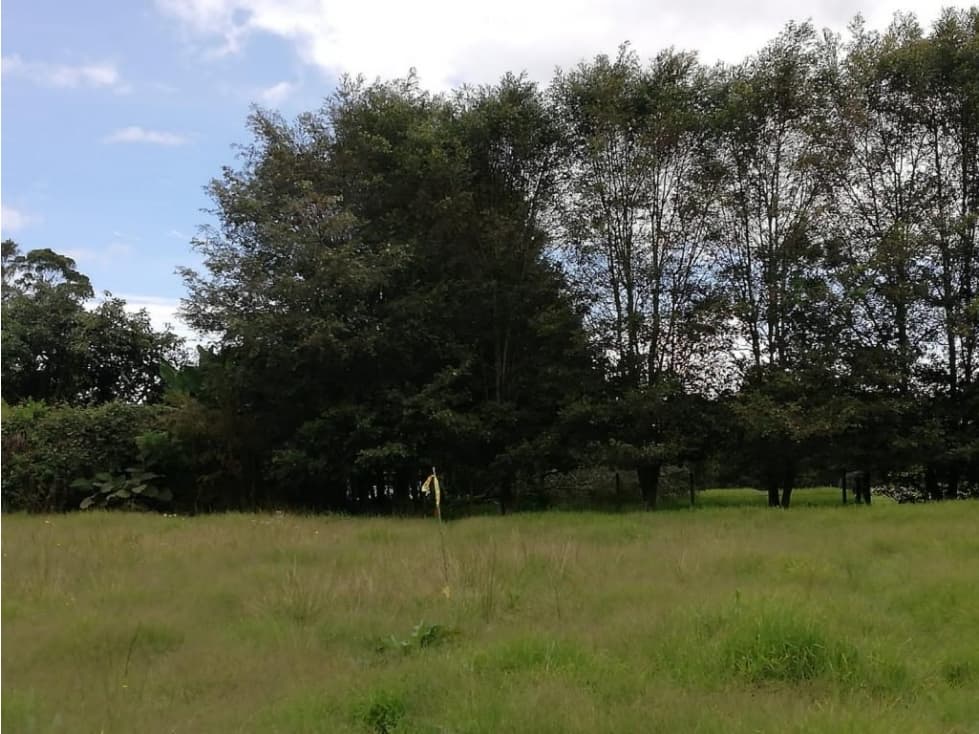 Lote en Vender en Rionegro - 1