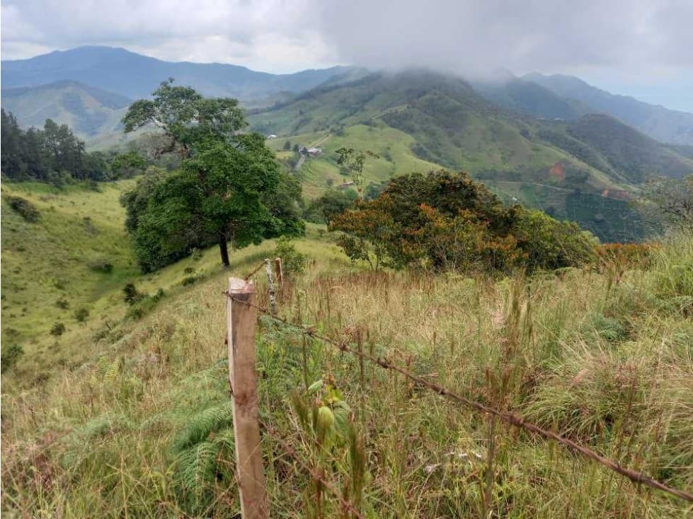 Finca ganadera a 20 minutos de Roldanillo excelente topografia. - 1