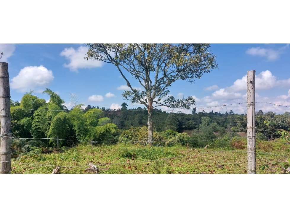 LOTE EN PARCELACION BRISAS DEL CAMPO -  CAJIBIO - 1