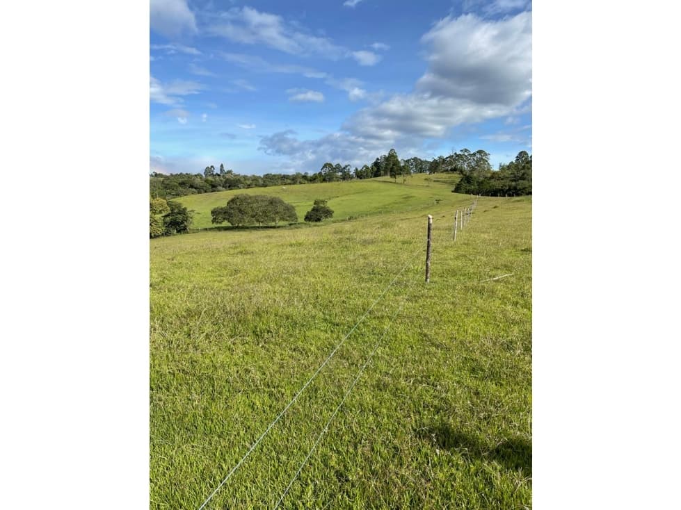 VENTA FINCA CAJIBIO 22 HECTAREAS - 1