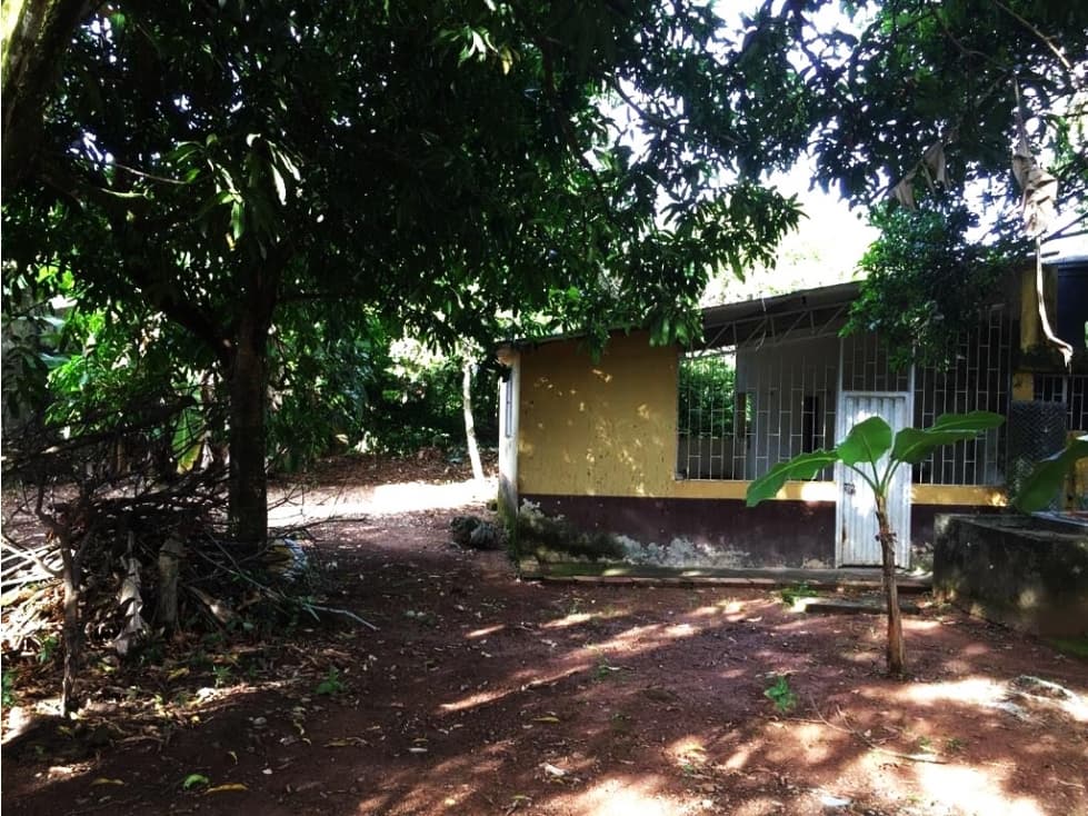 VENTA CASA LOTE SAN MARTÍN DE LOS LLANOS. 792 M2 - 1