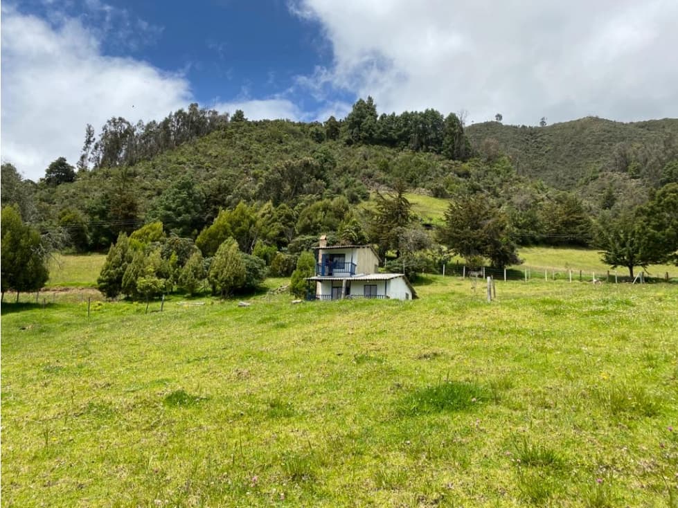 VENTA FINCA SESQUILÉ- LA ESQUINA-6574.74 M2 - 1