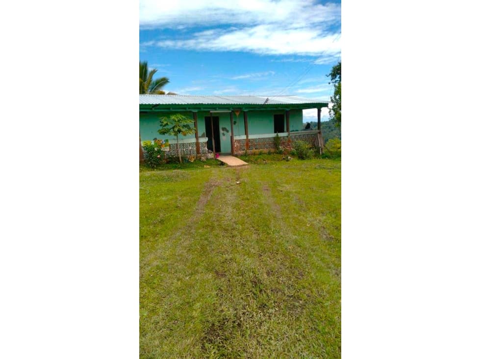 VENDO FINCA TRES ESQUINAS TOLIMA 15 HECTAREAS - 1