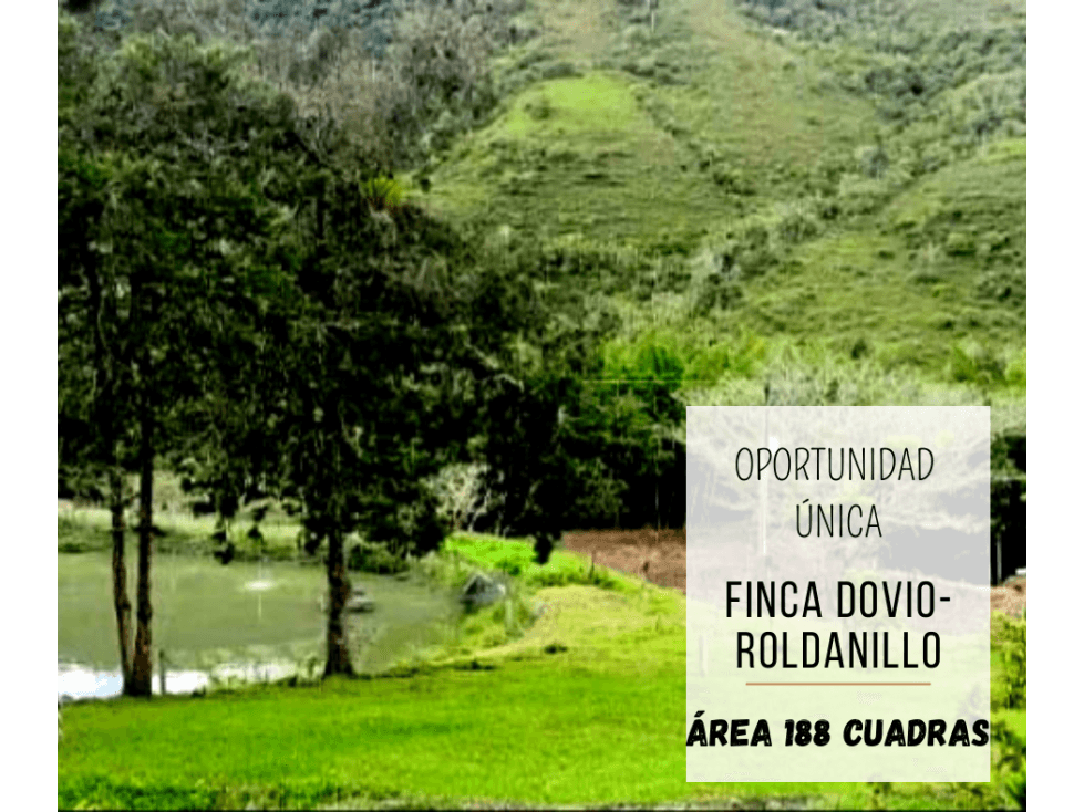 VENTA FINCA DOVIO-ROLDANILLO 4872 - 1