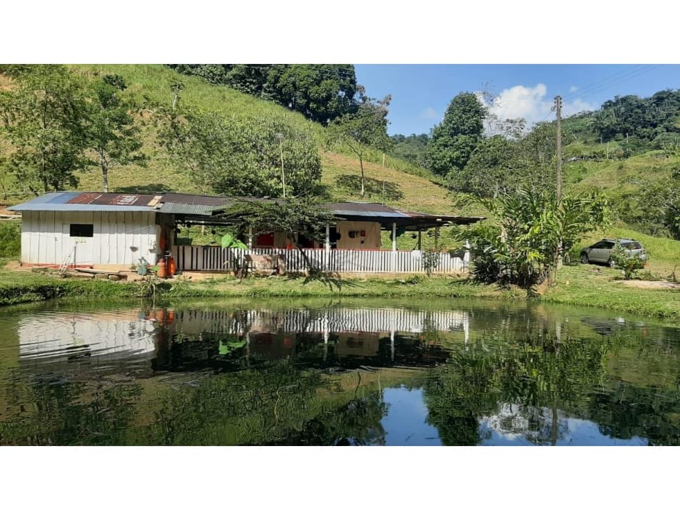 VENTA DE FINCA EN CAQUETÁ PUERTO RICO - 1