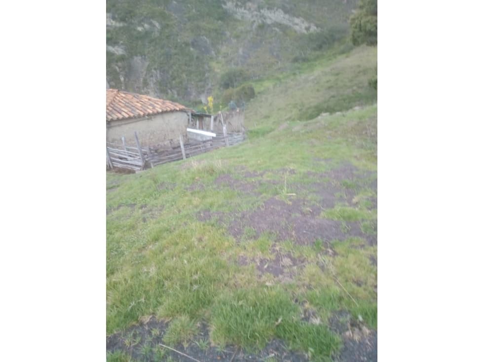 VENTA/PERMUTA FINCA SUSACON BOYACA - 1