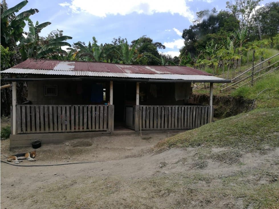VENTA DE FINCA EN VERGARA CUNDINAMARCA - 1