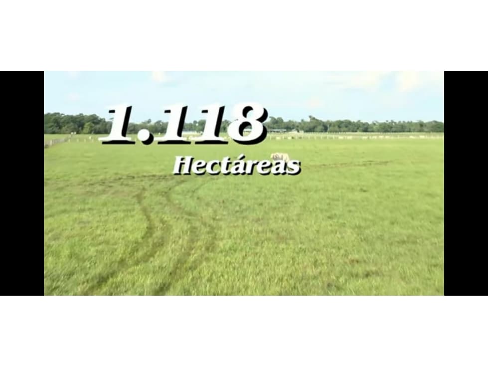 FINCA 1.118 HECTAREAS  EN SAN JUAN DE ARAMA META - 1