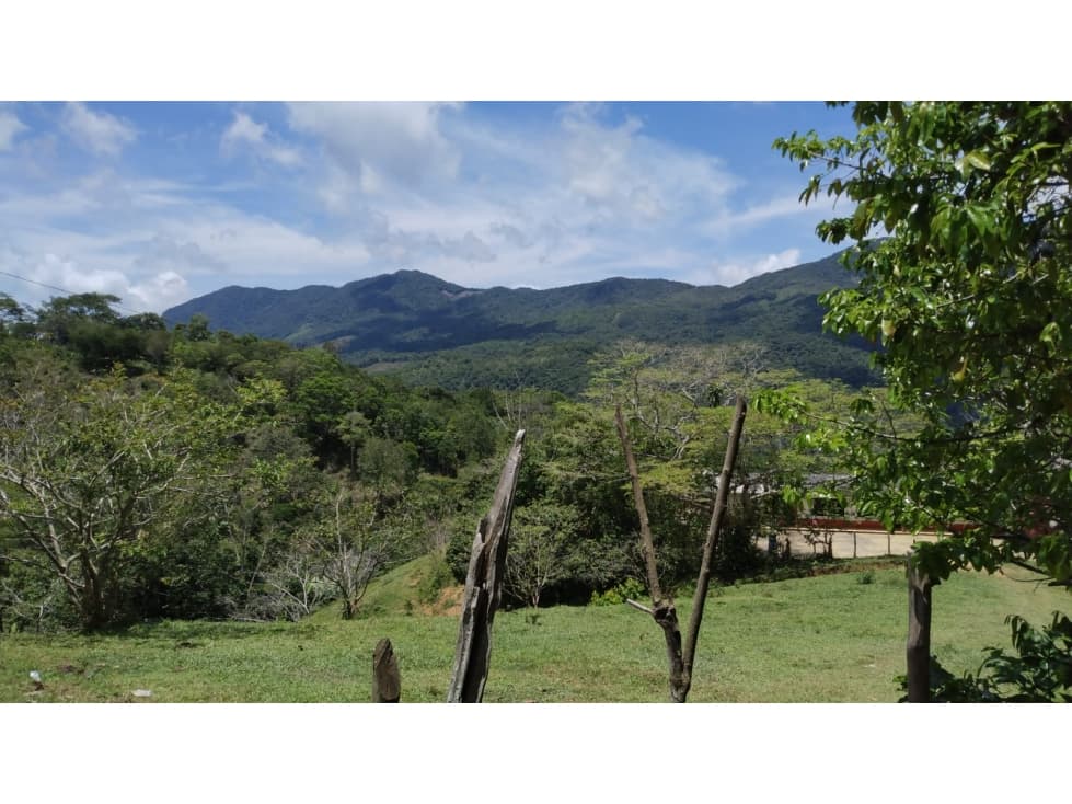 VENDO LOTE EN SAN LUIS - VEREDA LA LINDA - ANTIOQUIA - 1