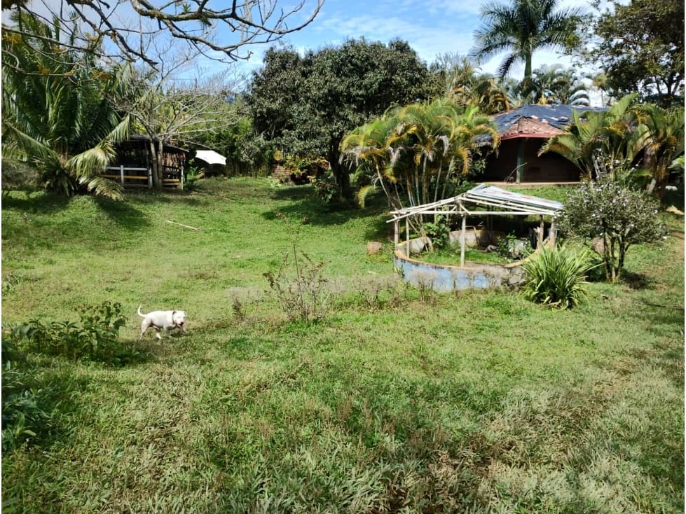 LOTE EN FREDONIA - 1