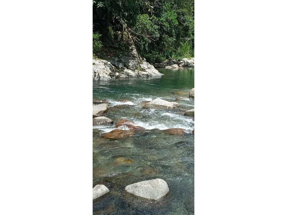 SE VENDE FINCA GANADERA EN SAMANA CALDAS MAGDALENA MEDIO - 1