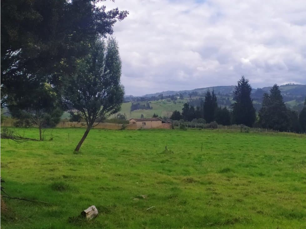LOTE COMERCIAL  SOBRE VIA NACIONAL 10 FANEGADAS  SOTAQUIRA - 1