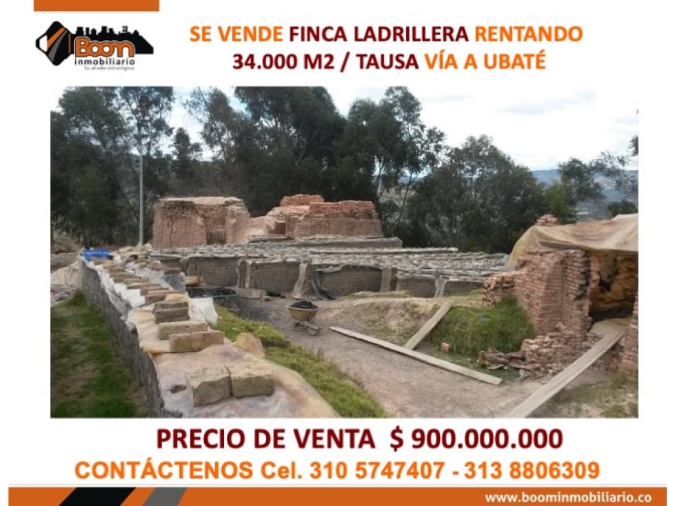 *VENTA LOTE LADRILLERA RENTANDO EN TAUSA - 1