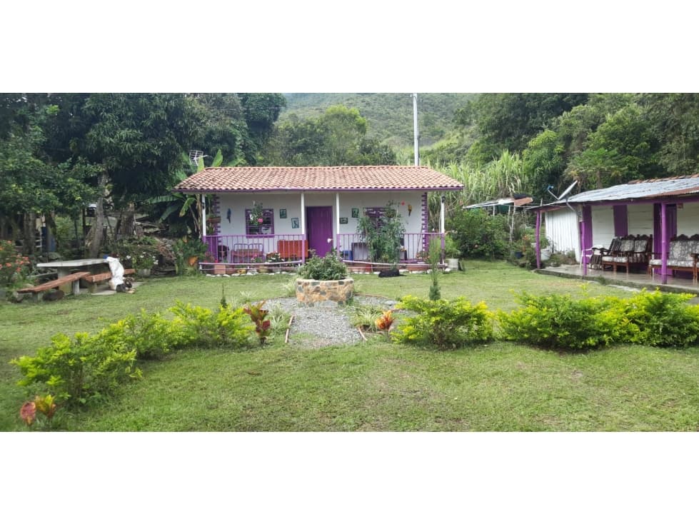 Finca Agrícola en Venta Municipio de Anzá Antioquia - 1