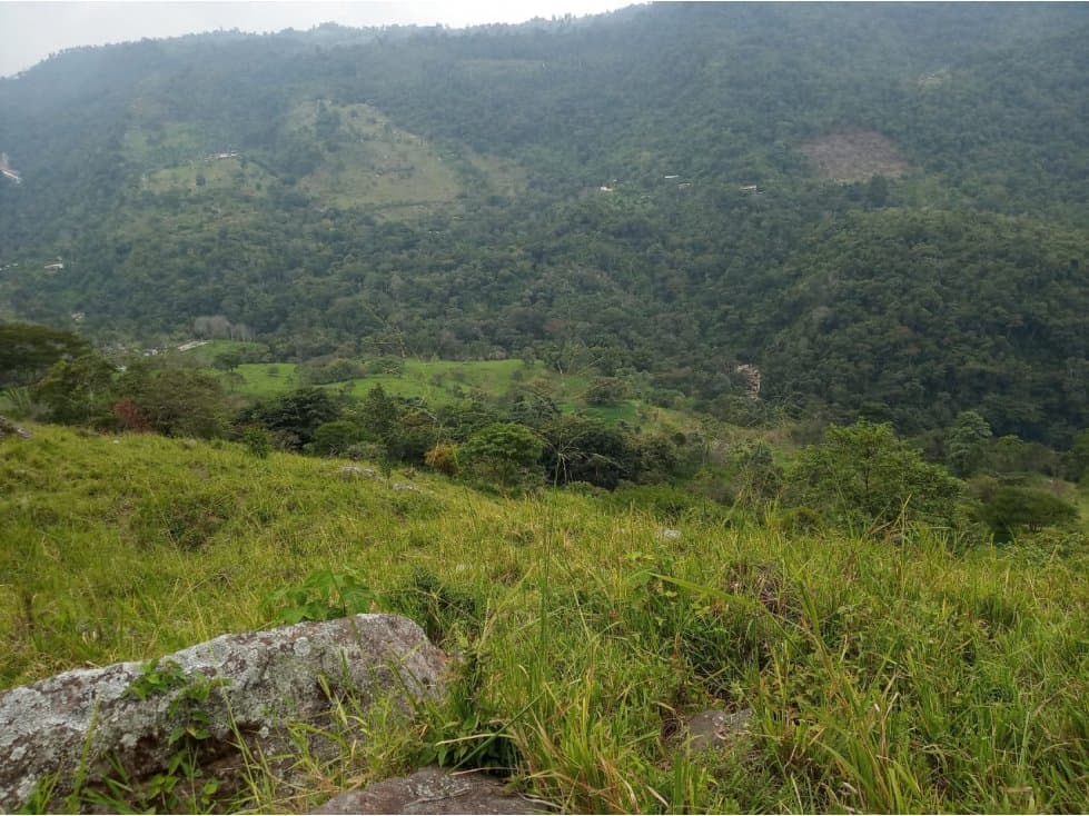 Finca en Venta en Pandi, Cundinamarca - 1