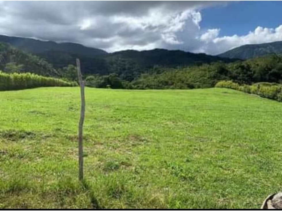 Lote en venta San Carlos - 1