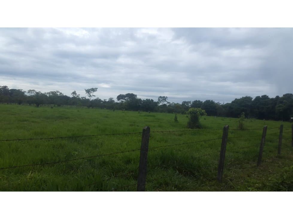 VENTA PERMUTA FINCA  ENTRE RESTREPO CUMARAL - 1