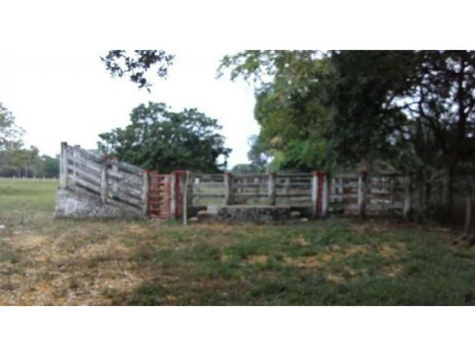 VENTA FINCA EN PARATEBUENO - 1