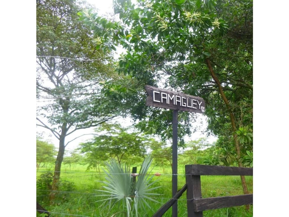 VENTA FINCA GANADERA SAN MARTIN META - 1