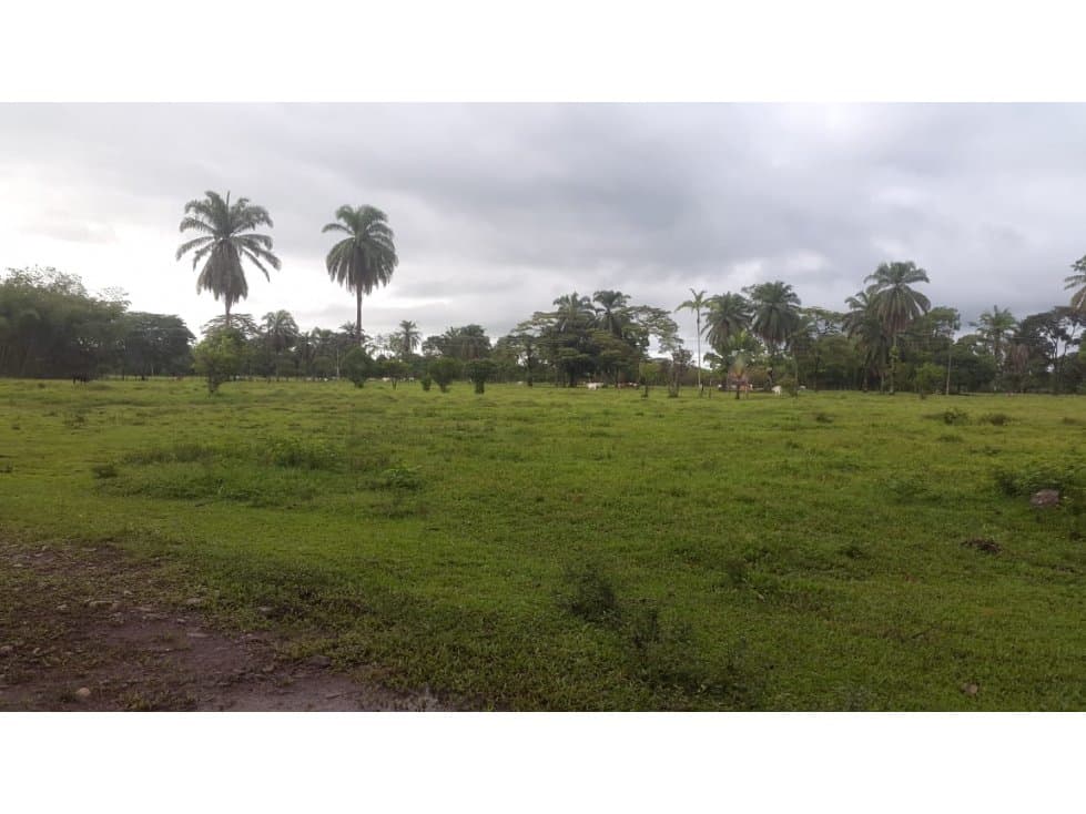 VENTA PERMUTA FINCA RESTREPO CUMARAL META - 1