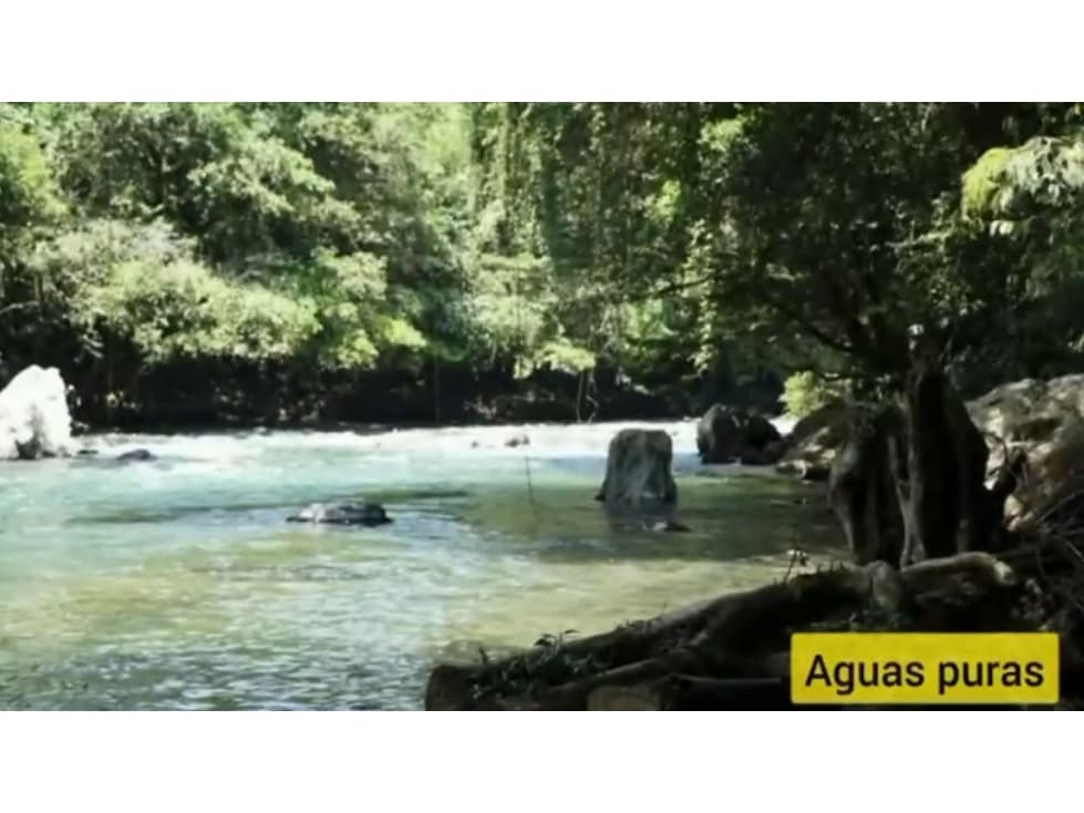 Lote de bosque nativo en San Francisco, oriente Ant. 24 hectareas - 1