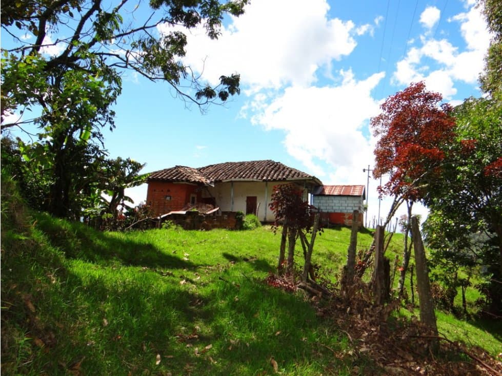 finca en venta Sonsón Antioquia 5 hectáreas espectacular vista. - 1