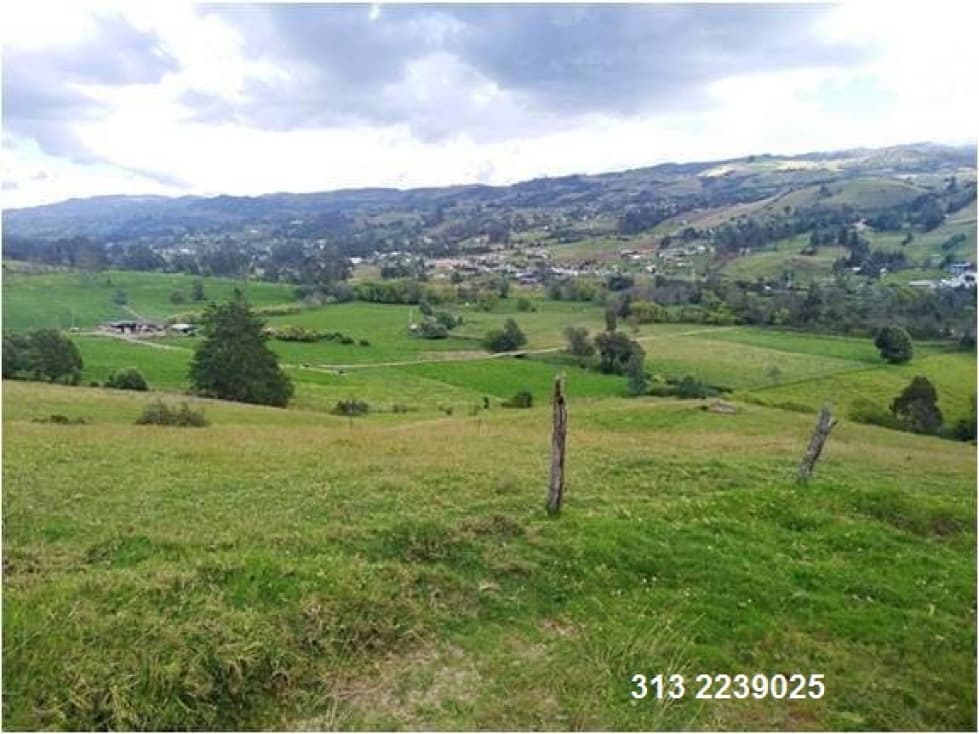 VENDO FINCA  EN CHOCONTA ?CUNDINAMARCA (REF. F/95) - 1