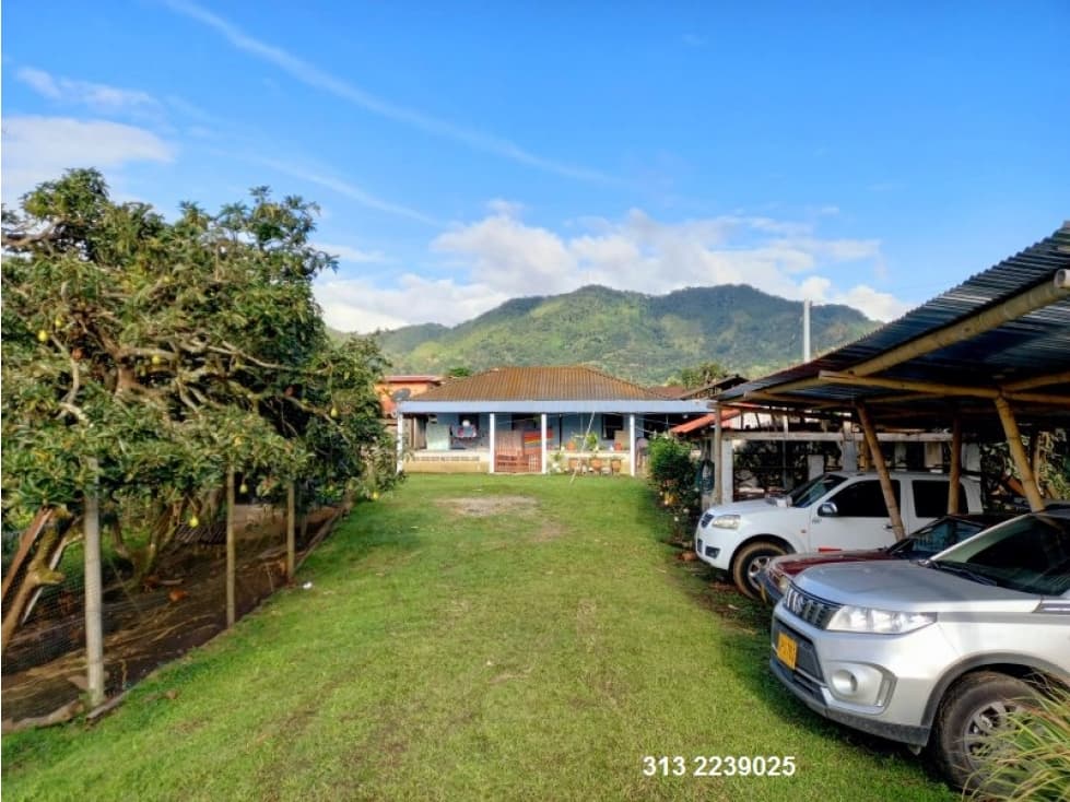 VENDO FINCA CAFETERA EN PALO CABILDO ?TOLIMA (REF. F/ 75) - 1