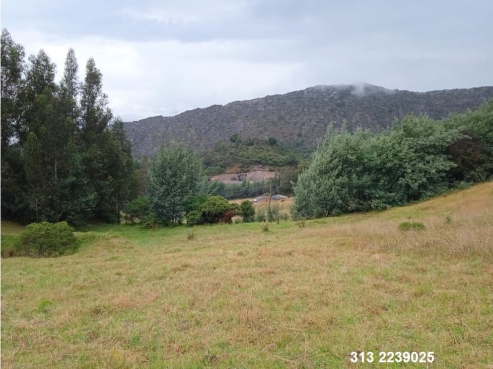 VENDO FINCA EN CUCUNUBA-CUNDINAMARCA (REF. F/124) - 1