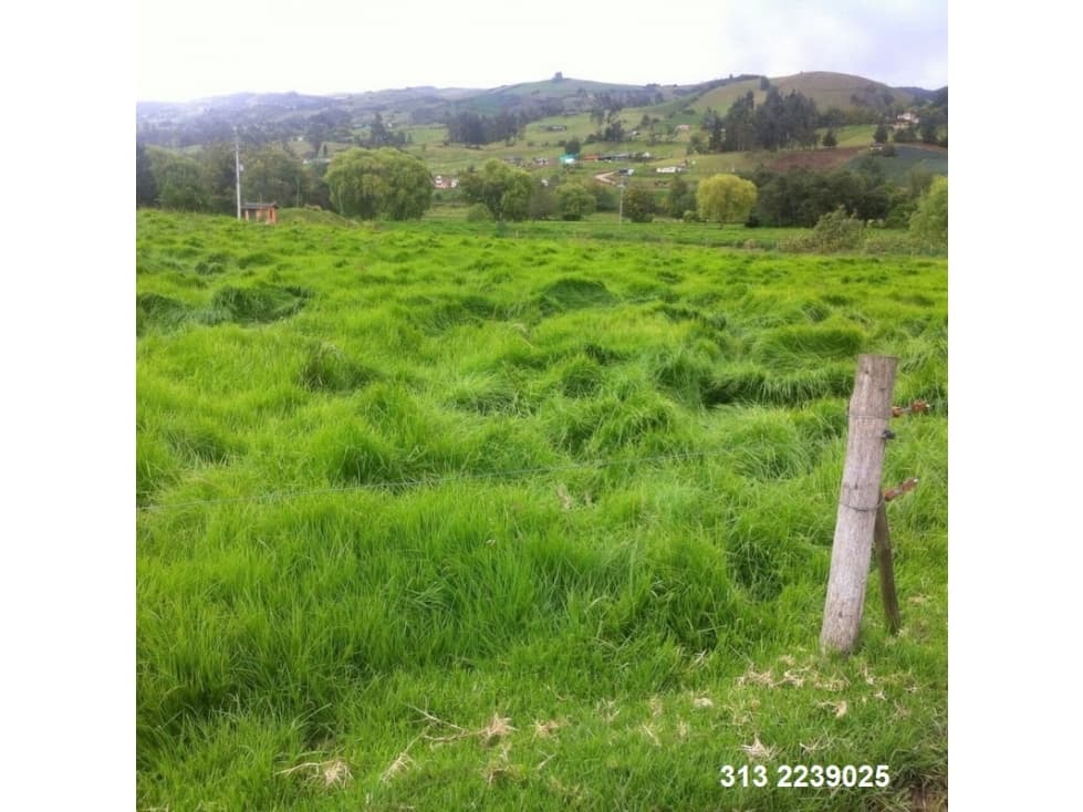 VENDO FINCA EN CHOCONTA ?CUNDINAMARCA PARA FLORA,  (REF. F/104) - 1