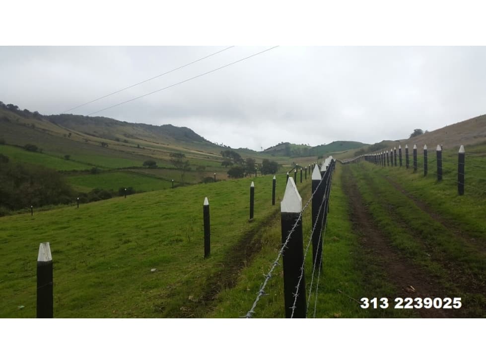 VENDO FINCA EN VILLAPINZON-CUNDINAMARCA (REF. F/6) - 1