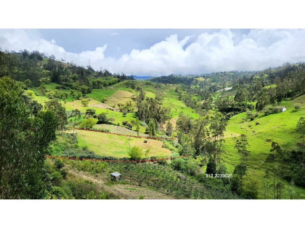 VENDO CASA LOTE EN RAMIRIQUI-BOYACA (REF. F/7 - 1