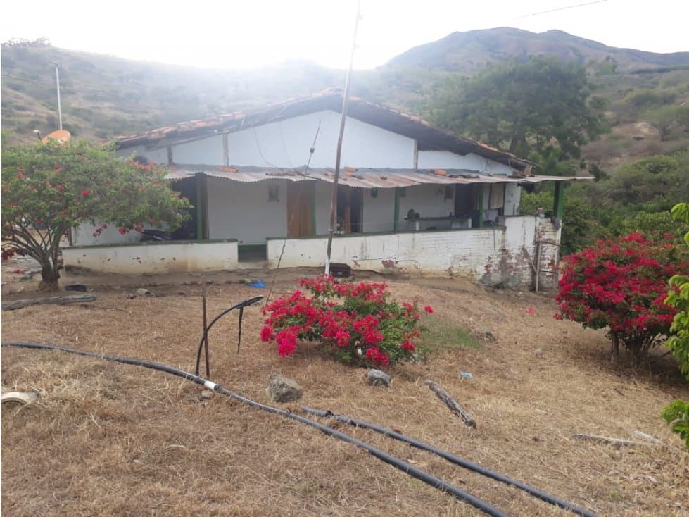 VENTA DE FINCA EN TORO  VALLE - 1
