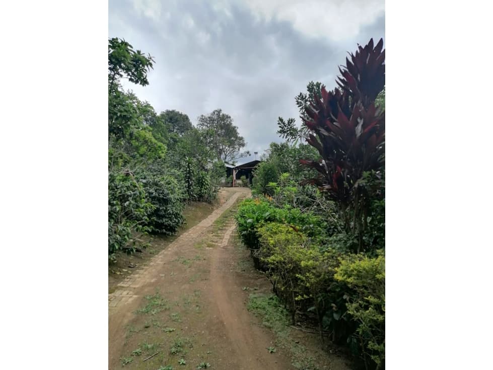 Vendo o Permuto Finca de 2.5 Fanegadas en Pacho Cundinamarca - 1