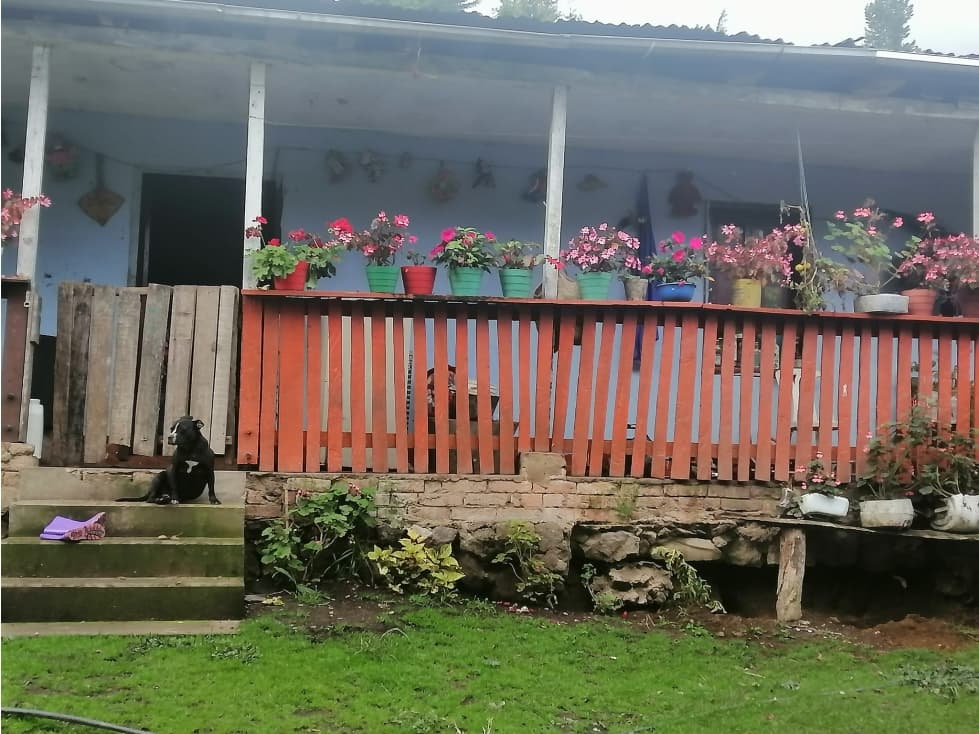 Vendo o Permuto Finca de 18 Fanegadas en Pacho Cundinamarca - 1
