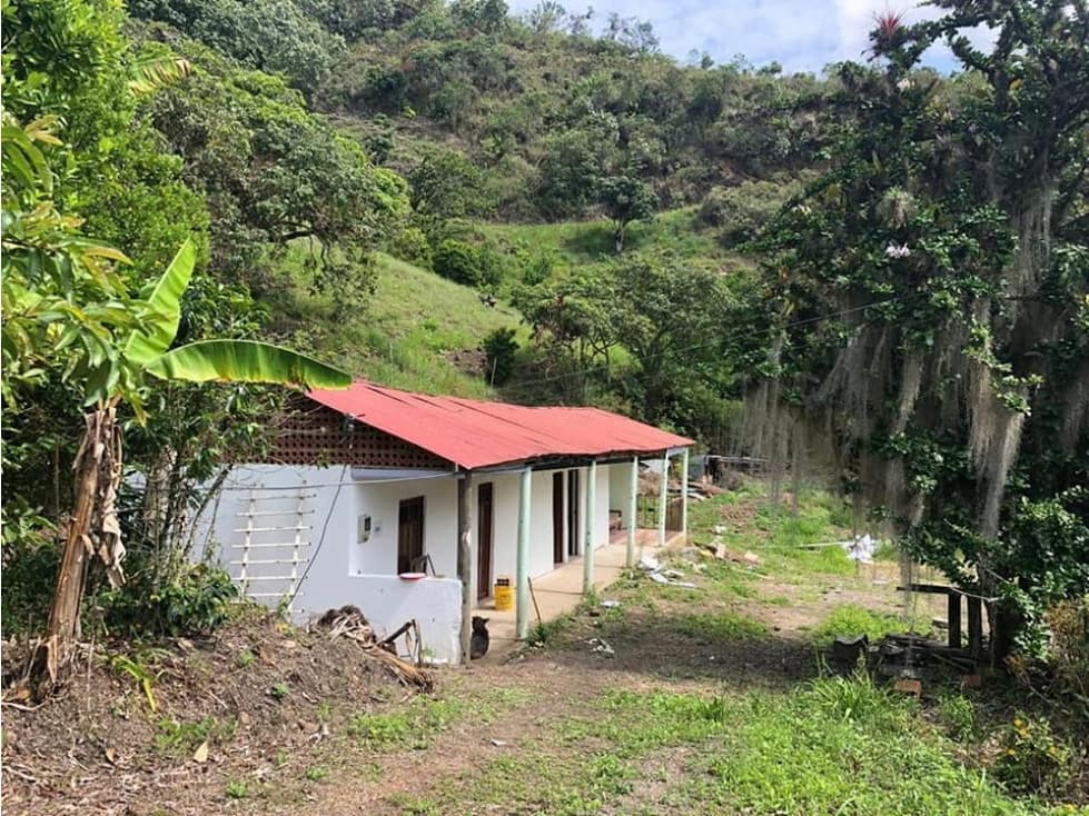 Vendo o Permuto en Pacho Cundinamarca de 9 Fanegadas - 1