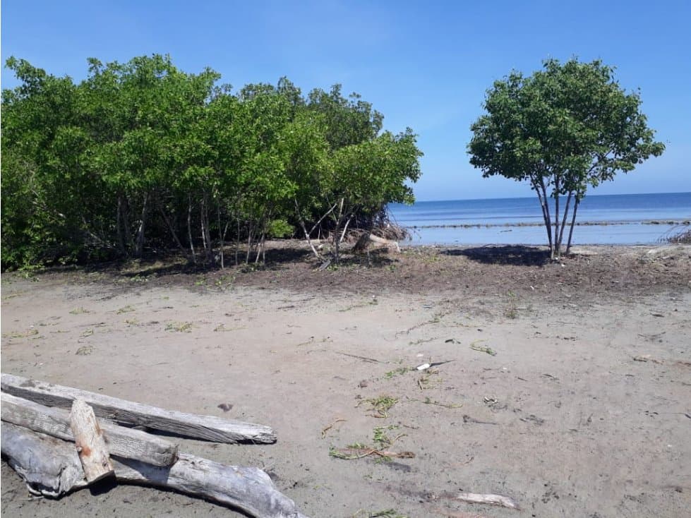 Vende lote Isla Boquerón San Bernardo del Viento - 1