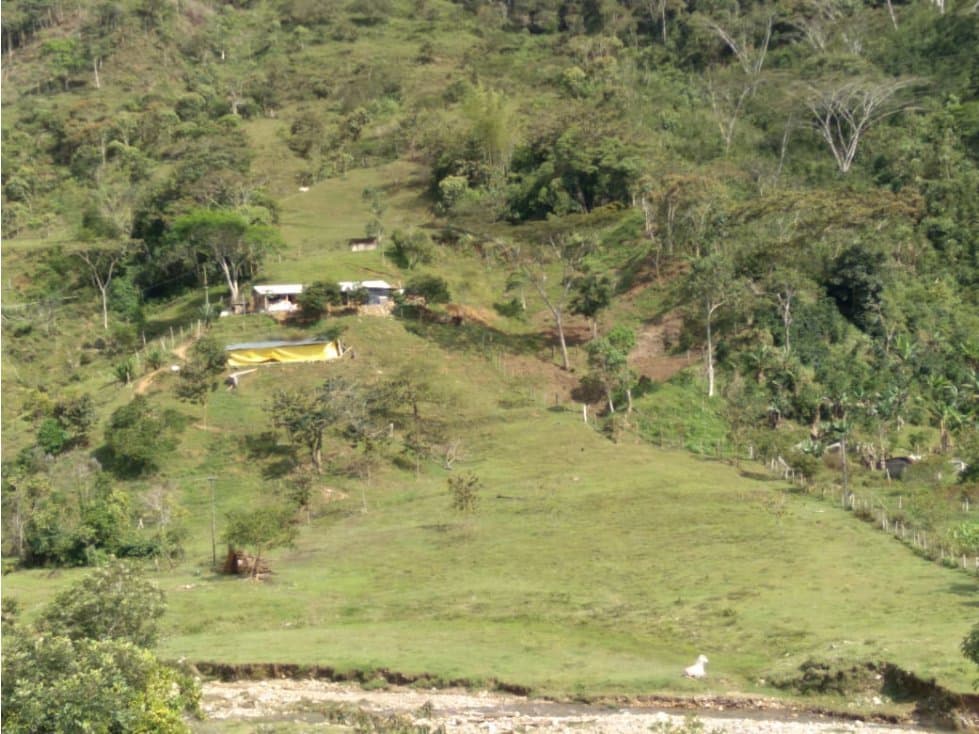 EXCELENTE FINCA EN EL MUNICIPIO DE ALEJNDRÍA - 1