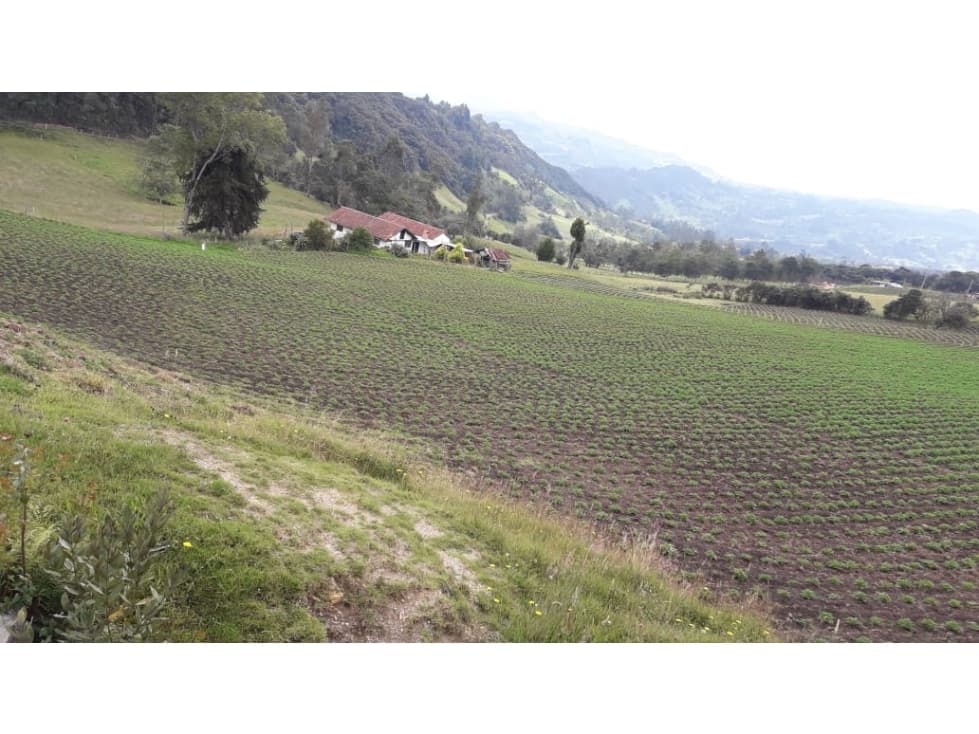 espectacular finca en boyaca - 1