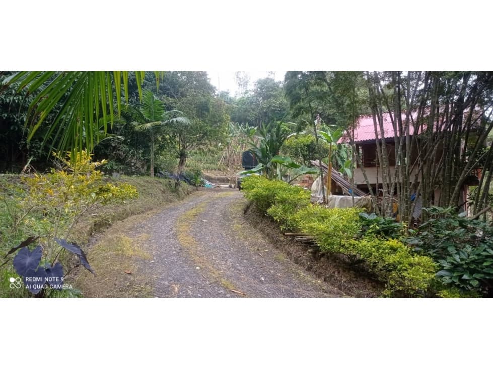 venta de finca para producción - 1