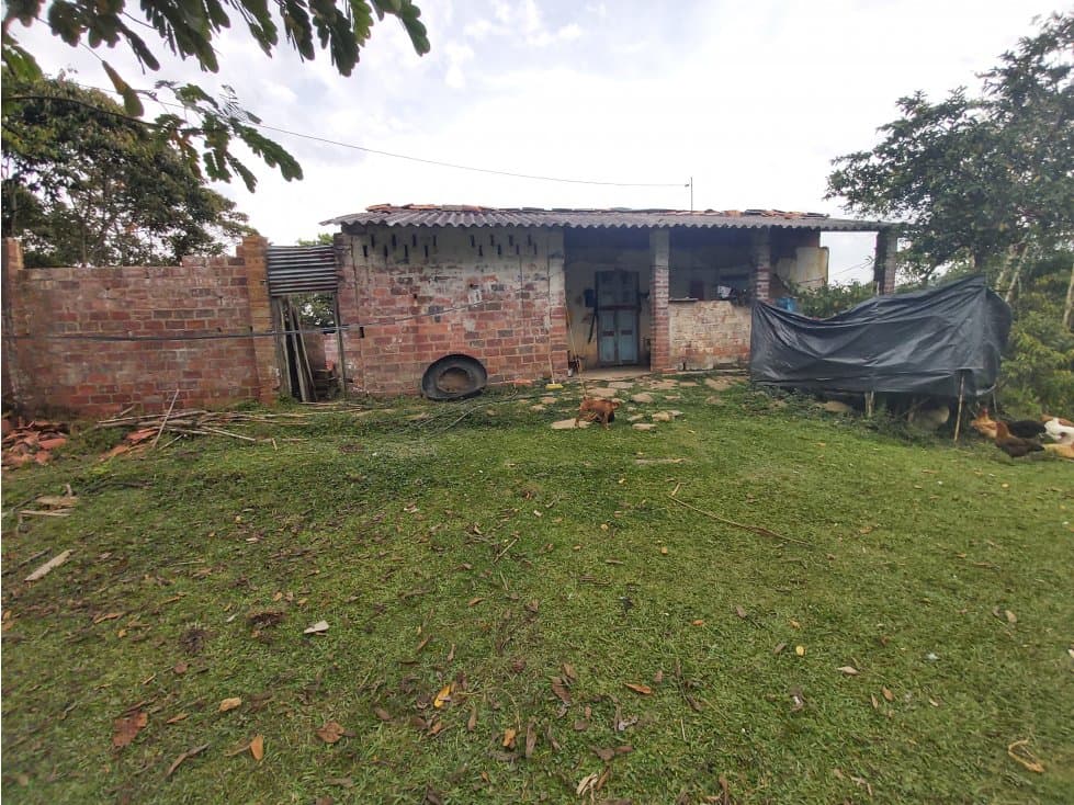 SE VENDE FINCA GANADERA EN OLIVAL CON EXCELENTE AGUA - 1
