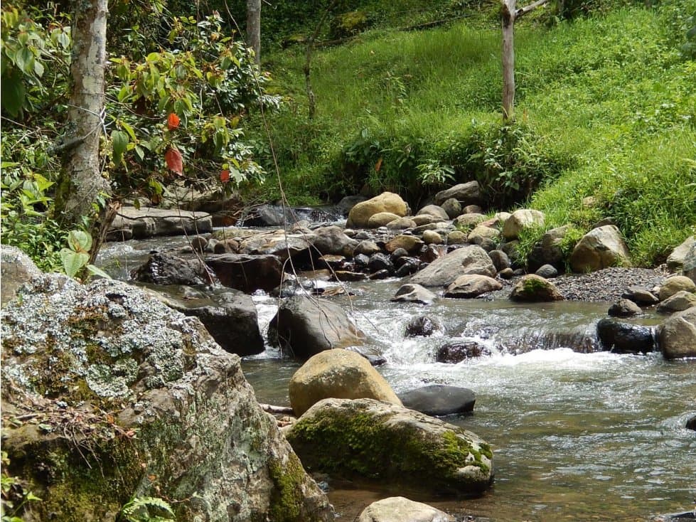 VENDO LOTES DE ENSUEÑO SAN FRANCISO CUNDINAMARCA - 1