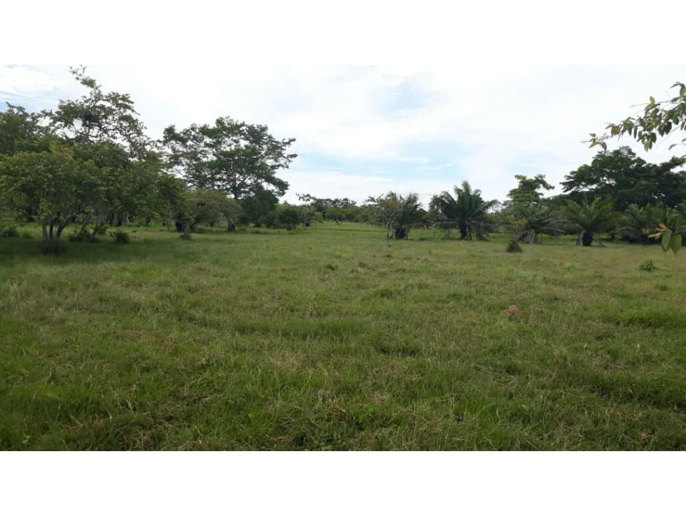 FINCA EN PLANETA RICA, CÓRDOBA - 1