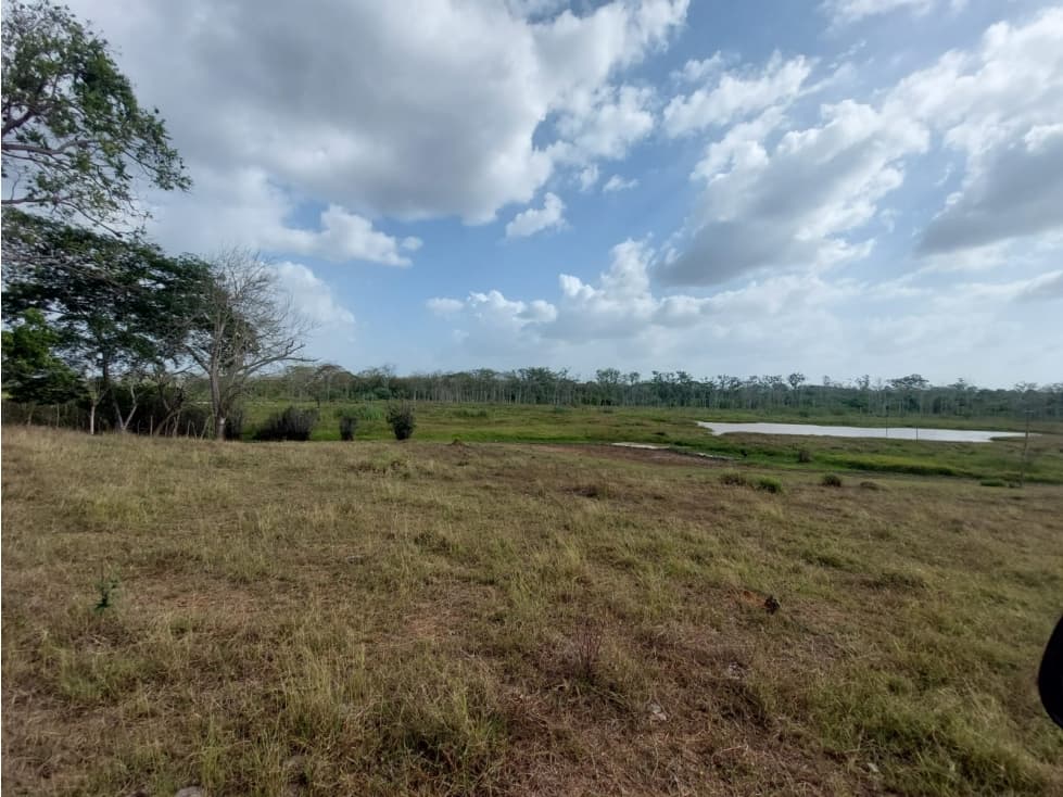 FINCA DE 800 HA EN VALENCIA- CÓRDOBA - 1
