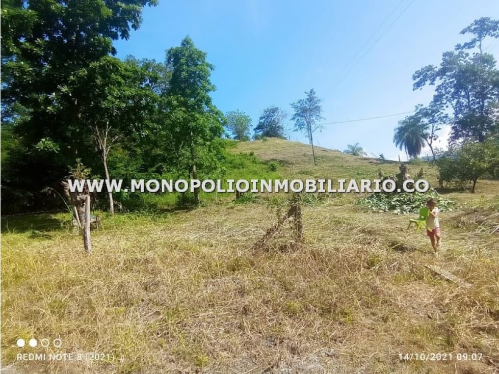 LOTE EN VENTA - SECTOR EL MORO, BETULIA COD: 24716 - 1