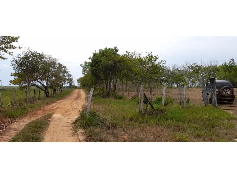VENTA FINCA ENTRE  GUAMAL Y SAN MARTIN META (IVM) - 1