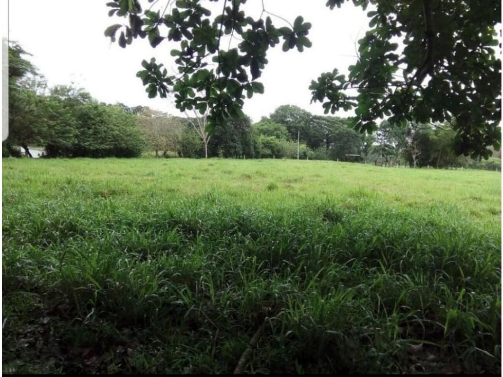 VENTA FINCA MARIQUITA VIA CATARATAS DE MEDINA 280 - 1