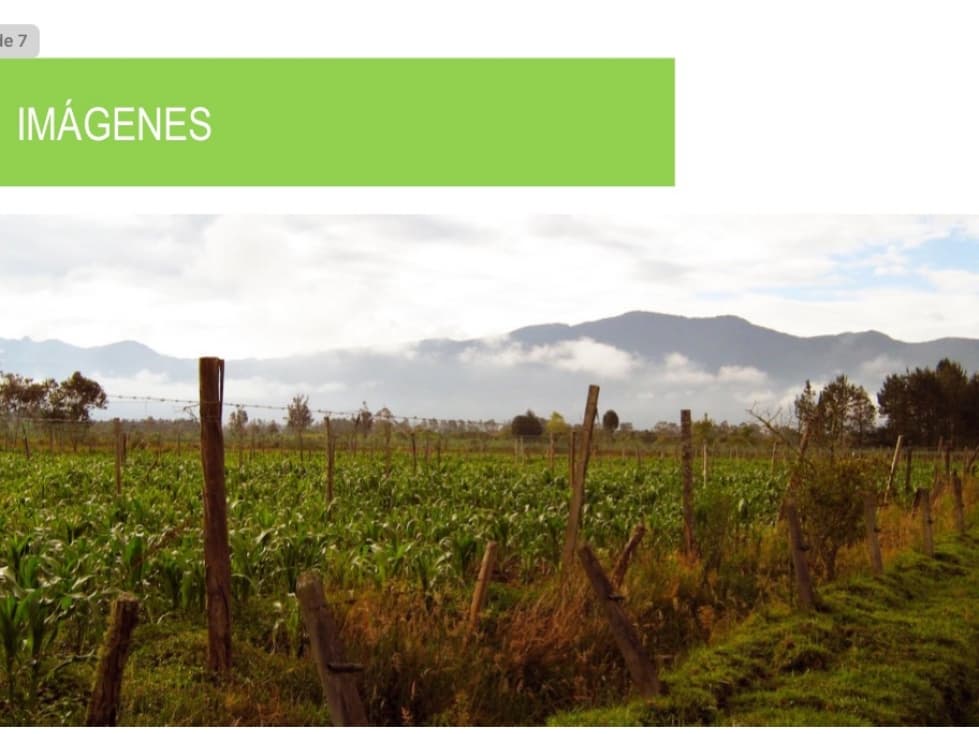 SE VENDE FINCA MOCOA 35 HECTAREAS - 1