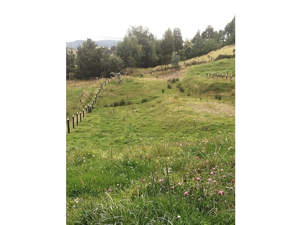 Lote en Venta Carmen de Carupa - 1