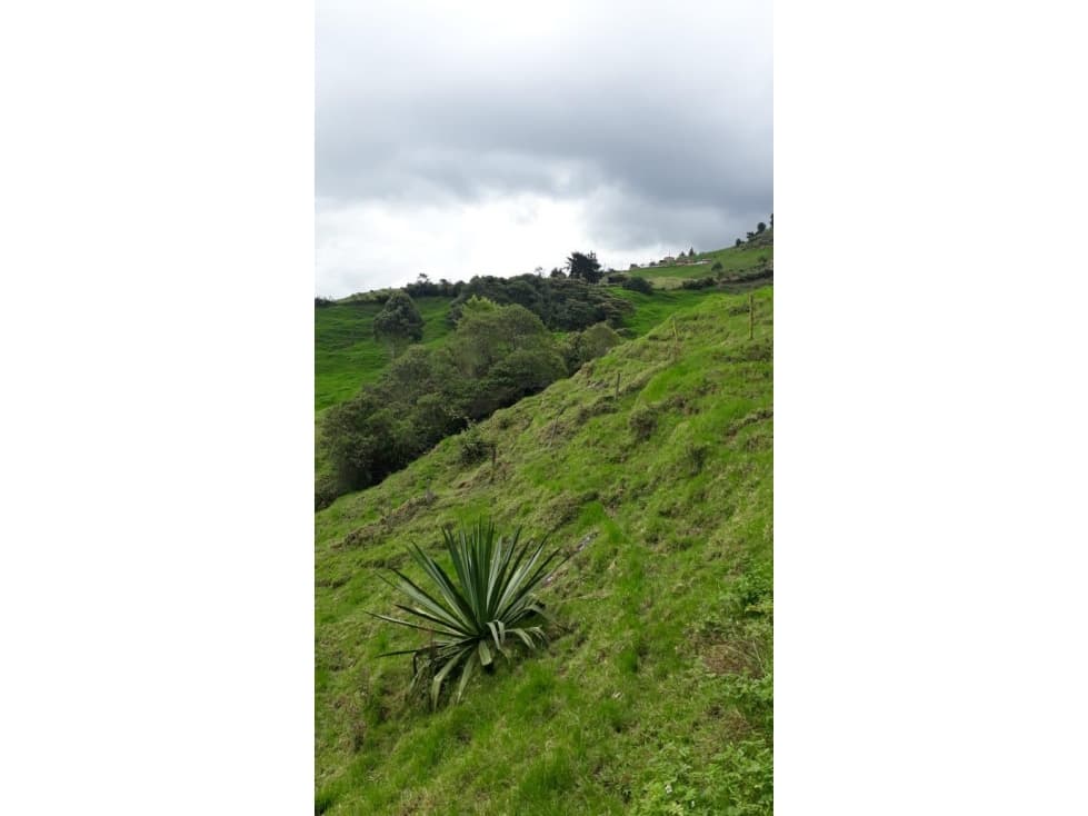 Se Venden Lotes en Parcelación en Yarumal - 1